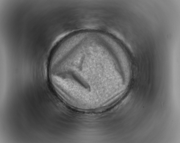 X0000086941214200705141755