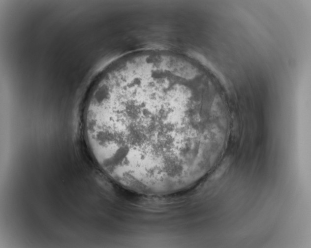 X0000086941215200705141755