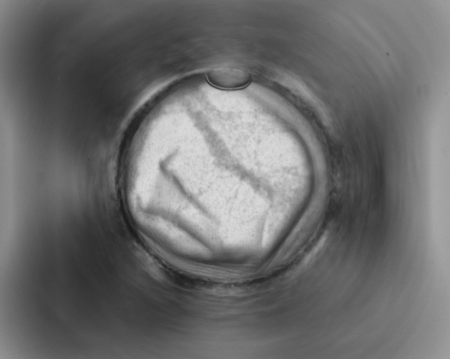 X0000086941216200705141755