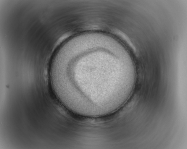 X0000086941218200705141755