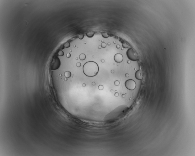 X0000086941219200705141755