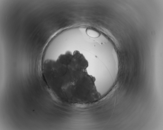 X0000086941220200705141755