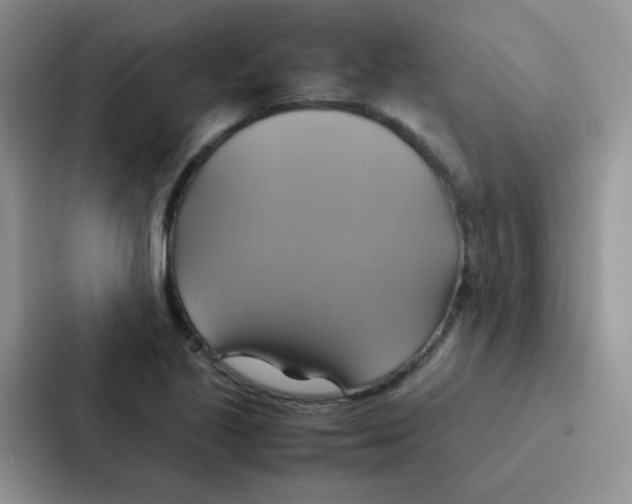 X0000086941221200705141755