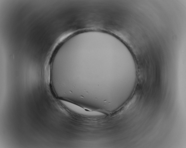 X0000086941223200705141755