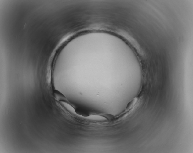 X0000086941224200705141755