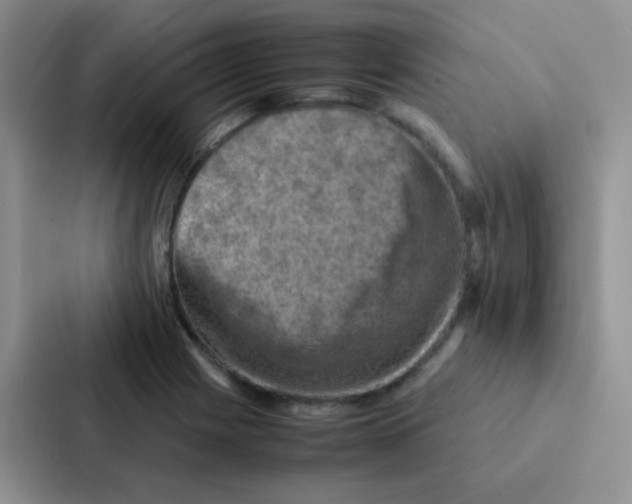 X0000086941225200705141755