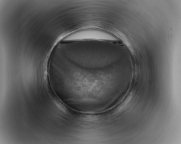 X0000086941226200705141755