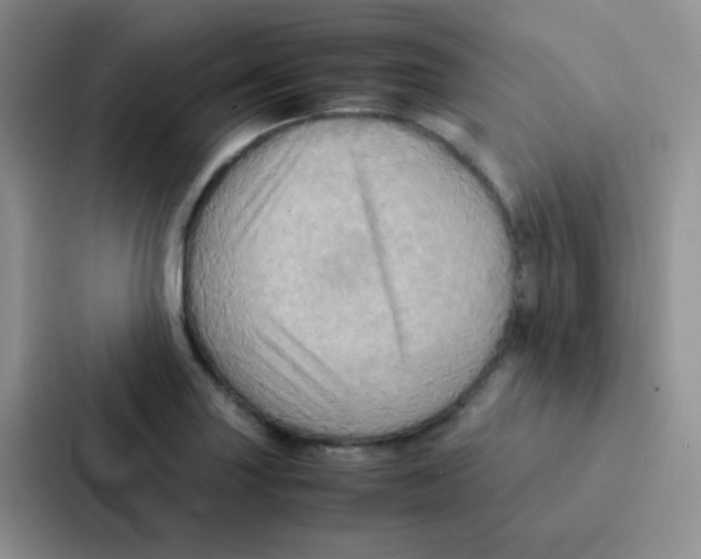 X0000086941227200705141755