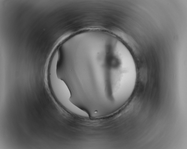 X0000086941229200705141755