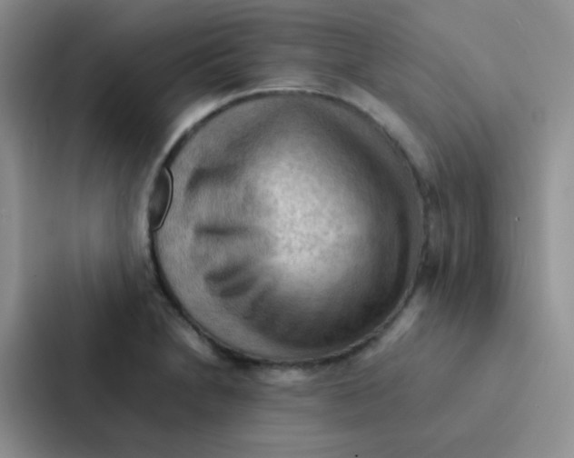 X0000086941230200705141756