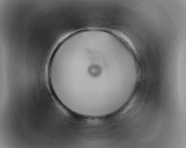 X0000086941231200705141756