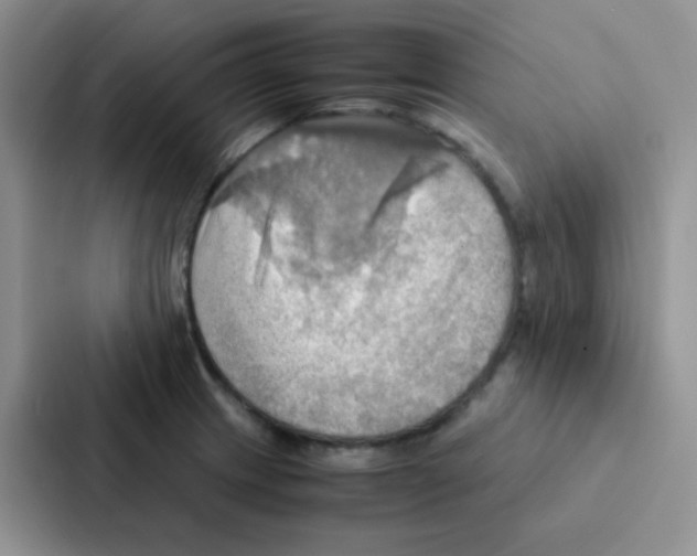 X0000086941233200705141756