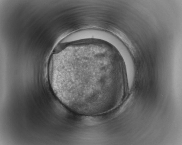 X0000086941234200705141756