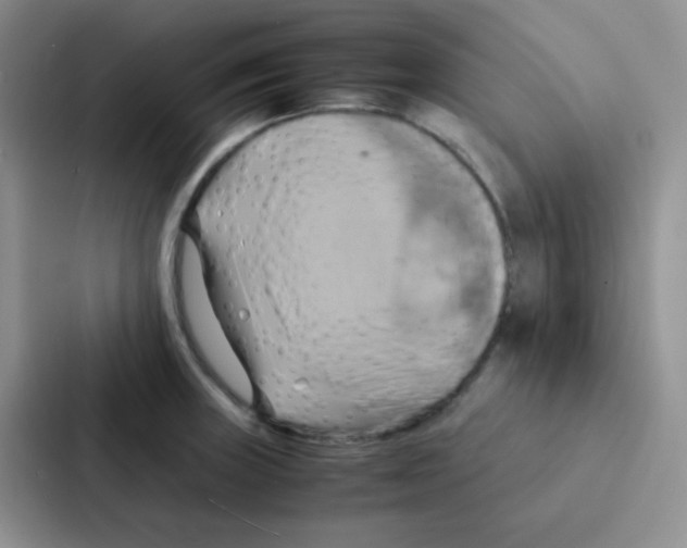 X0000086941235200705141756