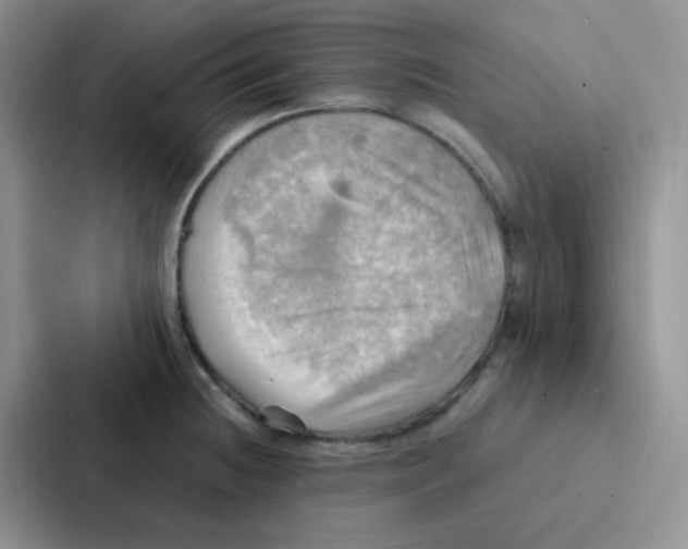 X0000086941236200705141756