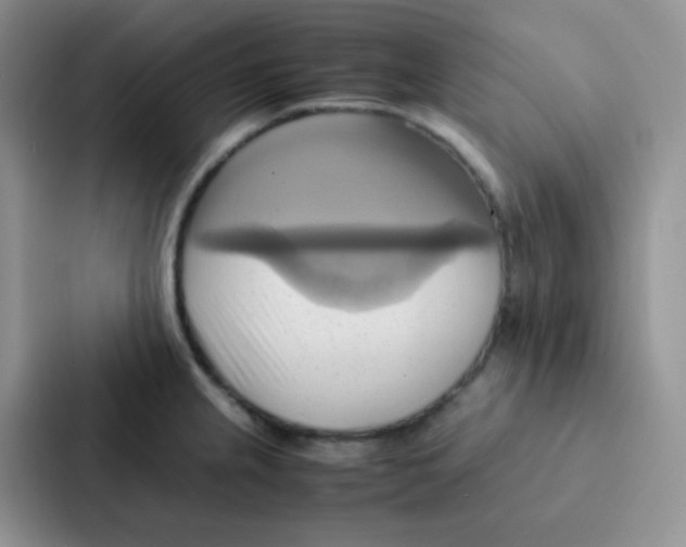 X0000086941237200705141756