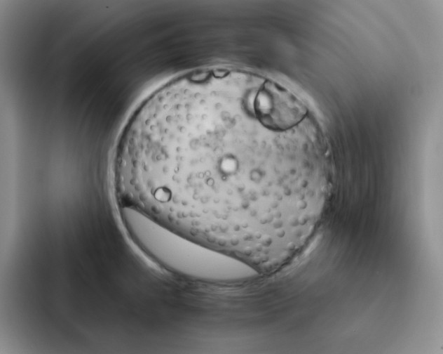 X0000086941239200705141756