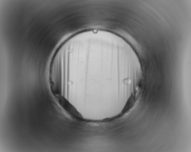 X0000086941240200705141756