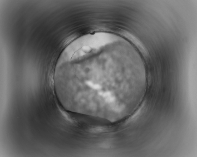 X0000086941241200705141756