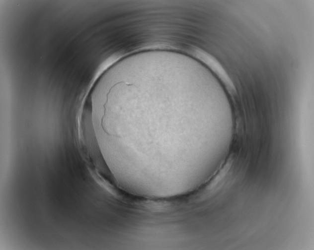 X0000086941242200705141756