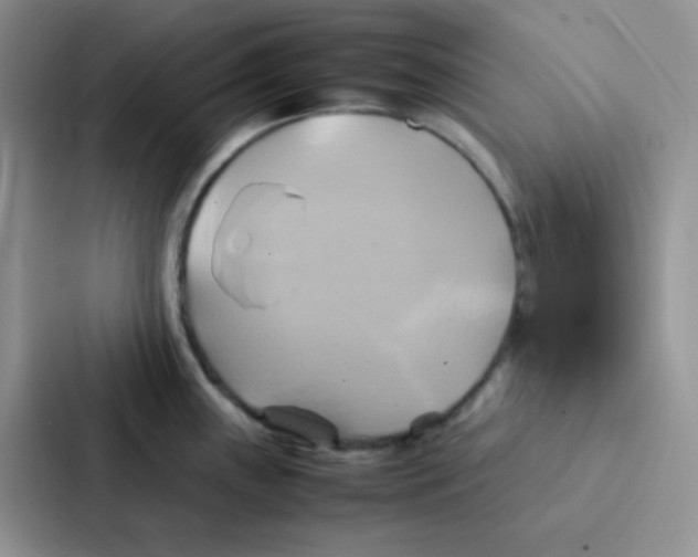 X0000086941243200705141756