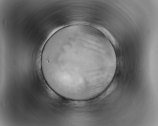 X0000086941244200705141756