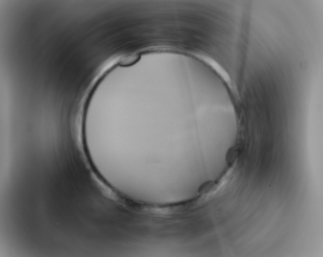 X0000086941245200705141756