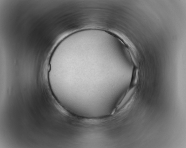 X0000086941246200705141756