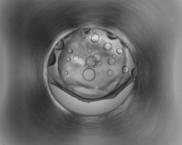 X0000086941247200705141756