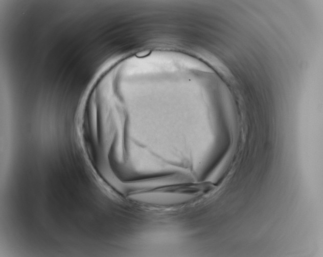 X0000086941248200705141756