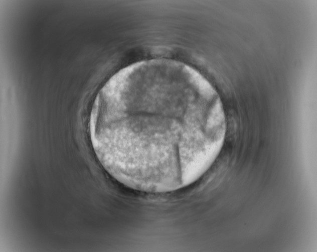 X0000086941249200705141755