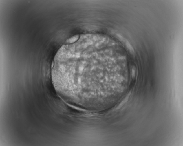 X0000086941251200705141755