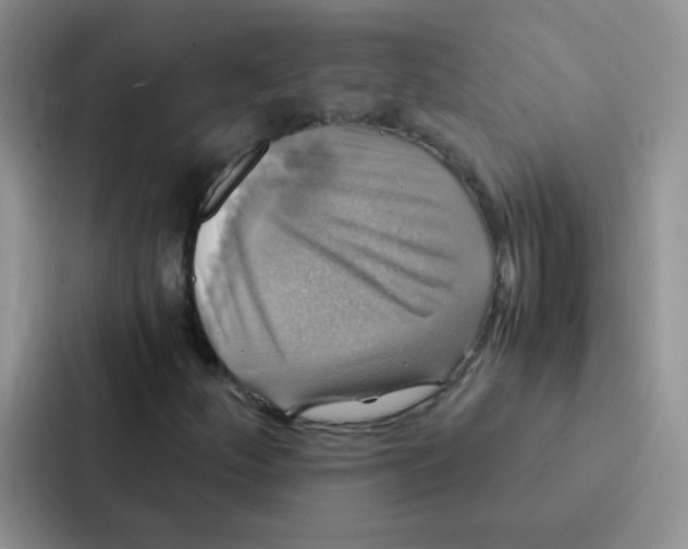 X0000086941252200705141755