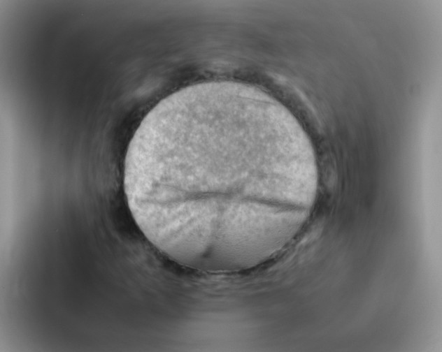 X0000086941253200705141755