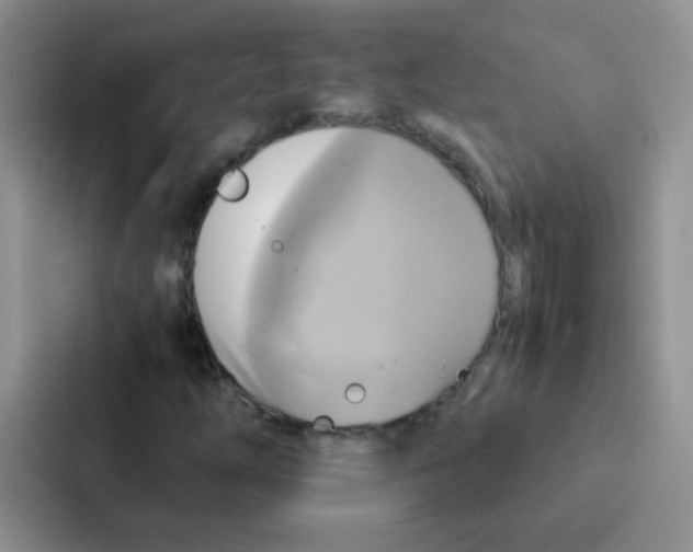 X0000086941254200705141755