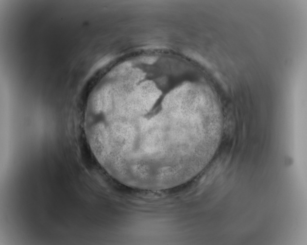 X0000086941255200705141755