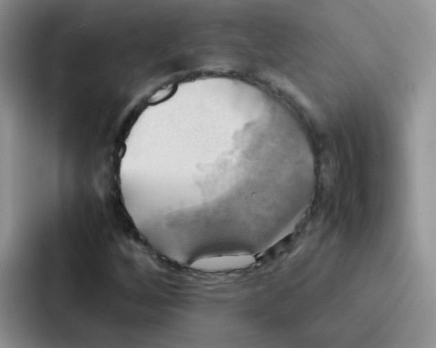 X0000086941256200705141755