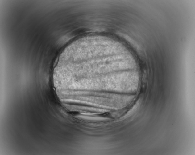 X0000086941257200705141755