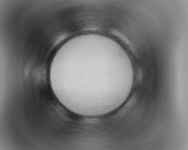 X0000086941258200705141755