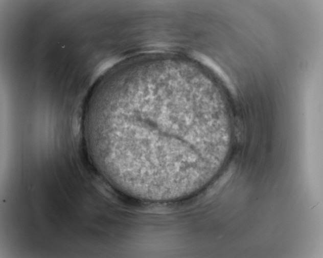 X0000086941259200705141755