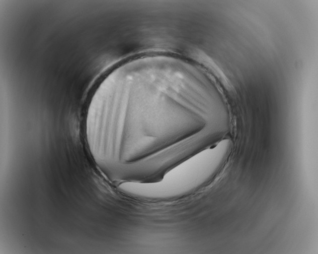 X0000086941260200705141755