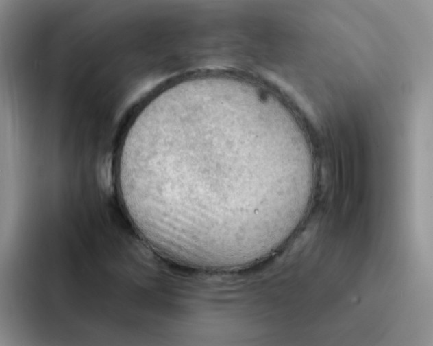 X0000086941262200705141755