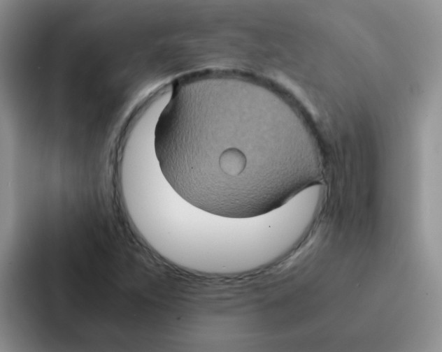 X0000086941263200705141755