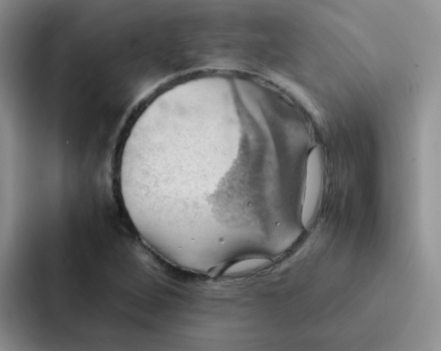 X0000086941264200705141755