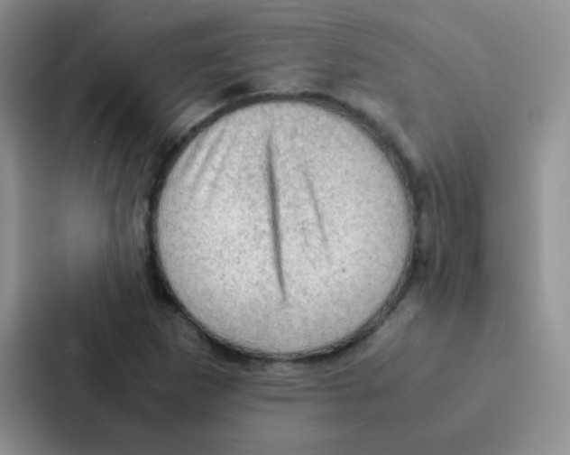 X0000086941265200705141755