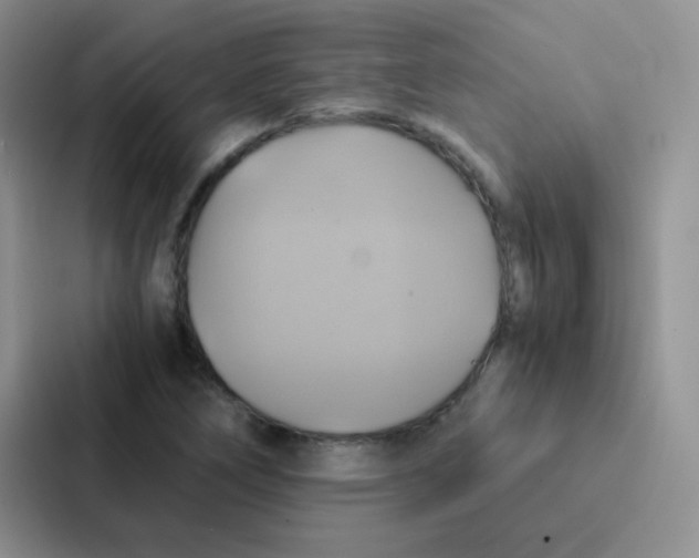 X0000086941266200705141755