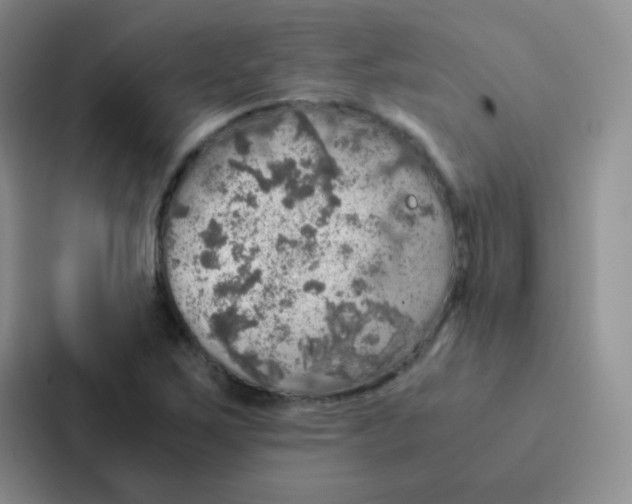 X0000086941267200705141755