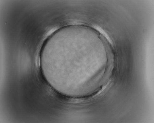 X0000086941269200705141755