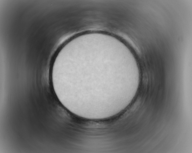 X0000086941270200705141755