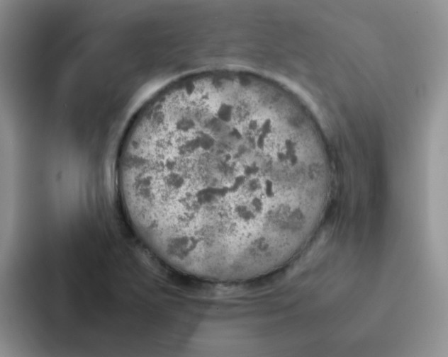 X0000086941271200705141755